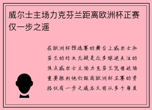 威尔士主场力克芬兰距离欧洲杯正赛仅一步之遥